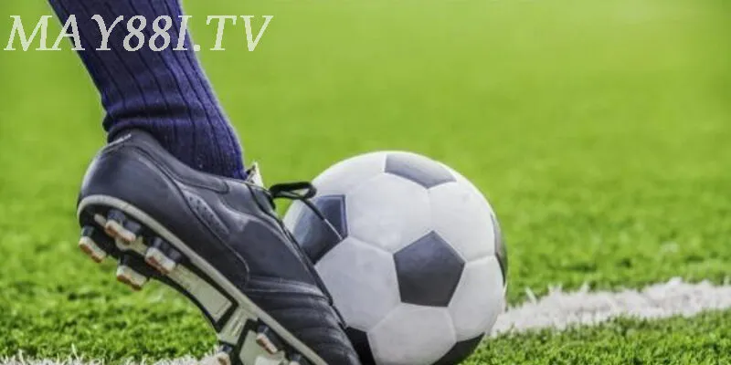 Bật mí điều cần thiết khi tham gia vào nhà cái coachoutletcoach.us.com