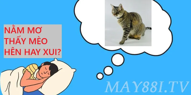 Phân tích chi tiết các giấc mơ về mèo tại may88
